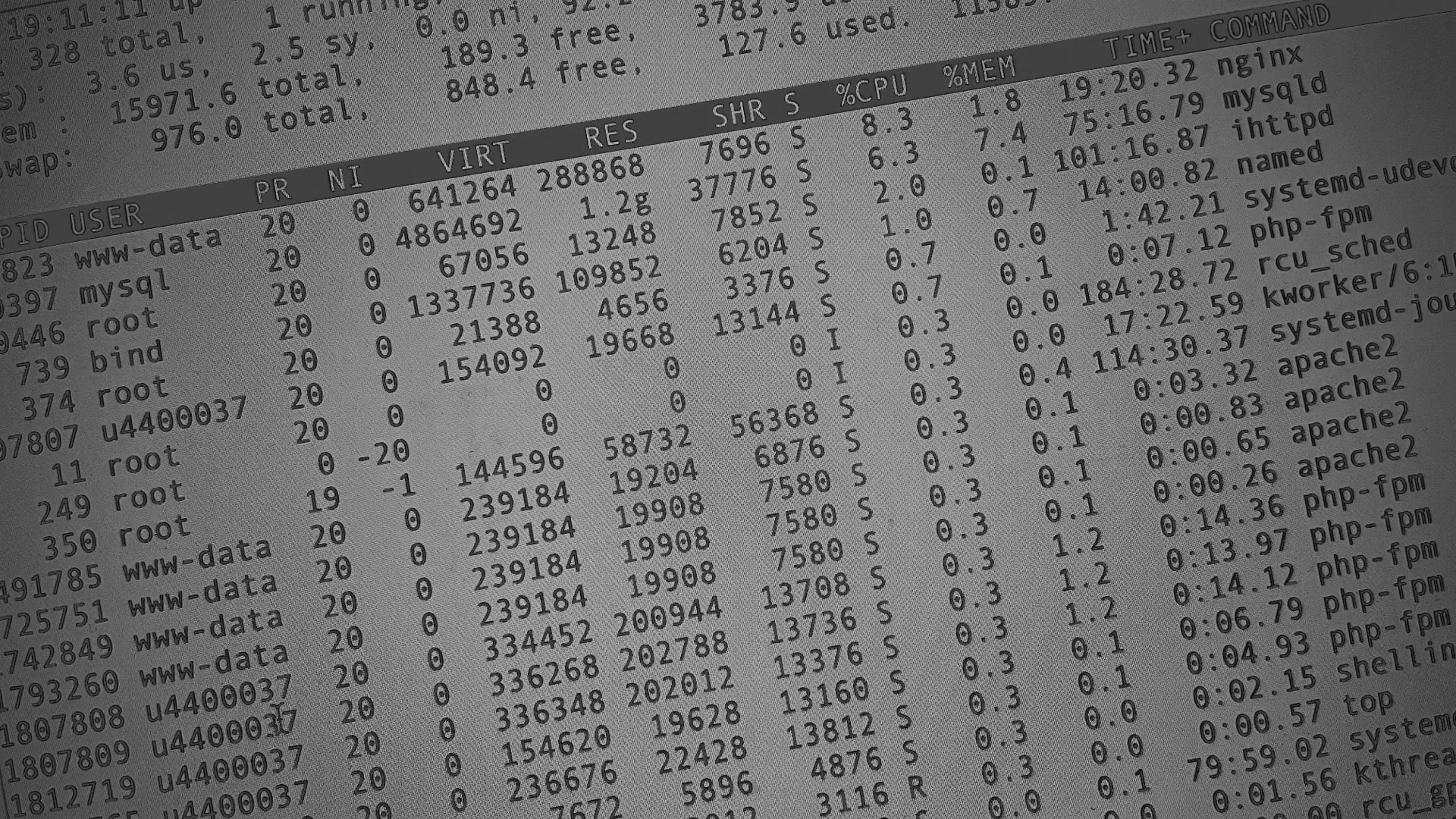 Настройка сервера в Новой Ляле